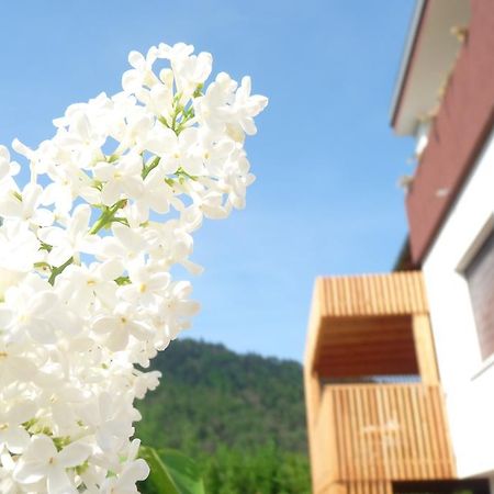 B&B Casa Sul Lago - Appartamenti 칼세라니카알라고 객실 사진