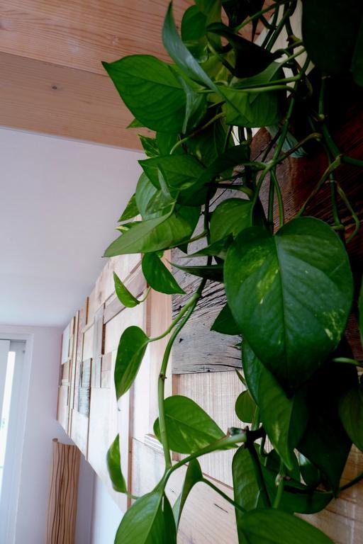 B&B Casa Sul Lago - Appartamenti 칼세라니카알라고 객실 사진