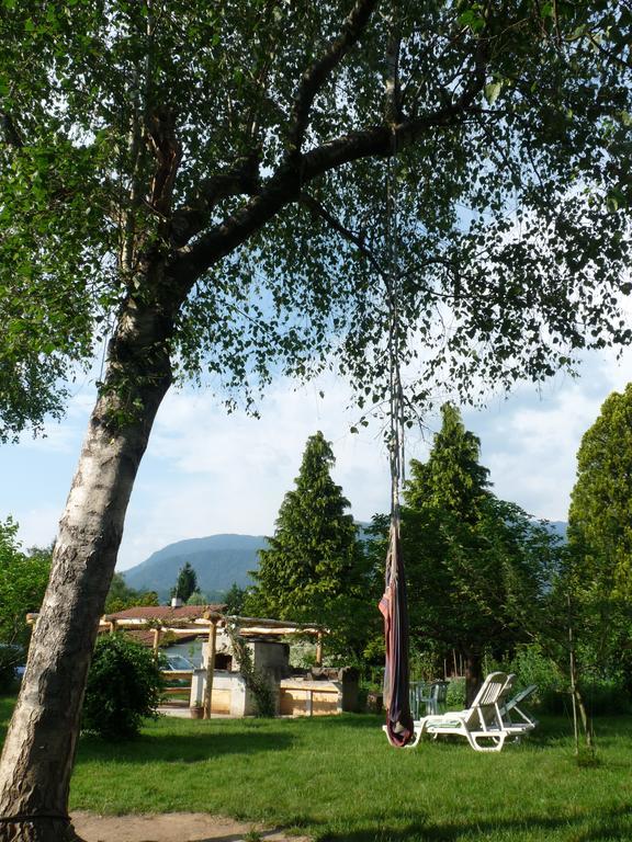 B&B Casa Sul Lago - Appartamenti 칼세라니카알라고 외부 사진