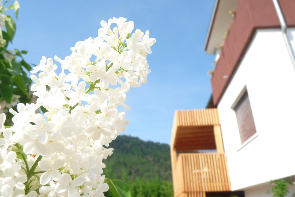 B&B Casa Sul Lago - Appartamenti 칼세라니카알라고 객실 사진