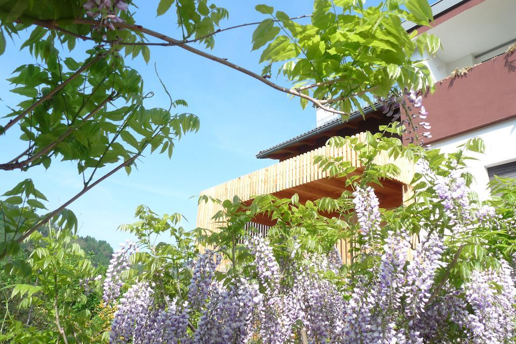 B&B Casa Sul Lago - Appartamenti 칼세라니카알라고 외부 사진