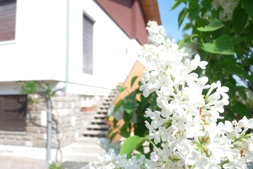 B&B Casa Sul Lago - Appartamenti 칼세라니카알라고 외부 사진