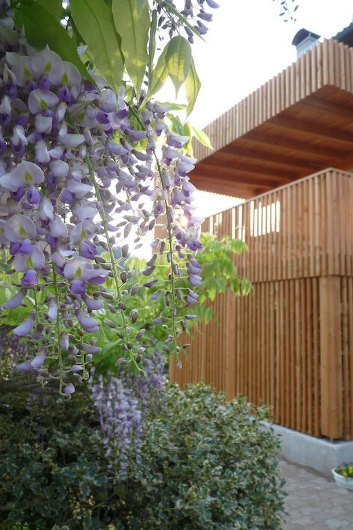 B&B Casa Sul Lago - Appartamenti 칼세라니카알라고 외부 사진